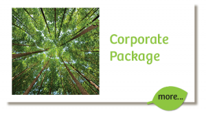 corporate-package-carbon-sierra-gorda